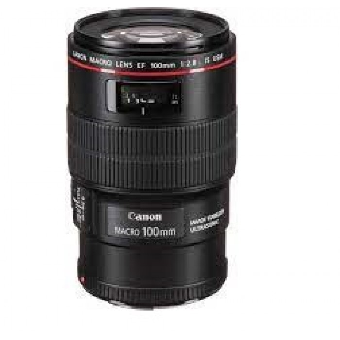 Canon EF 100mm F/2.8L Macro IS USM Lens