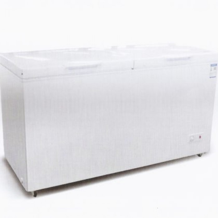 SKYRUN 550L BD-550W Chest Freezer